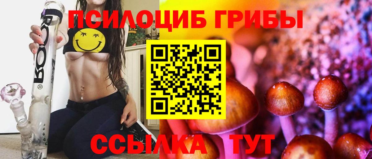 Мценск  закладки  Вход с VPN  Псилоцибиновые грибы мицелий 